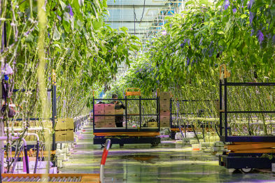 Дайджест новостей