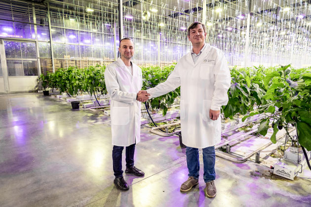 Фотография