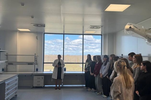 Фотография