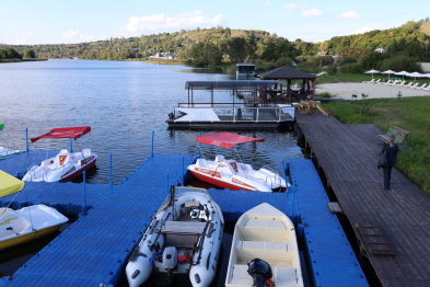 Дайджест новостей